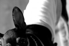 暑い夏のある日